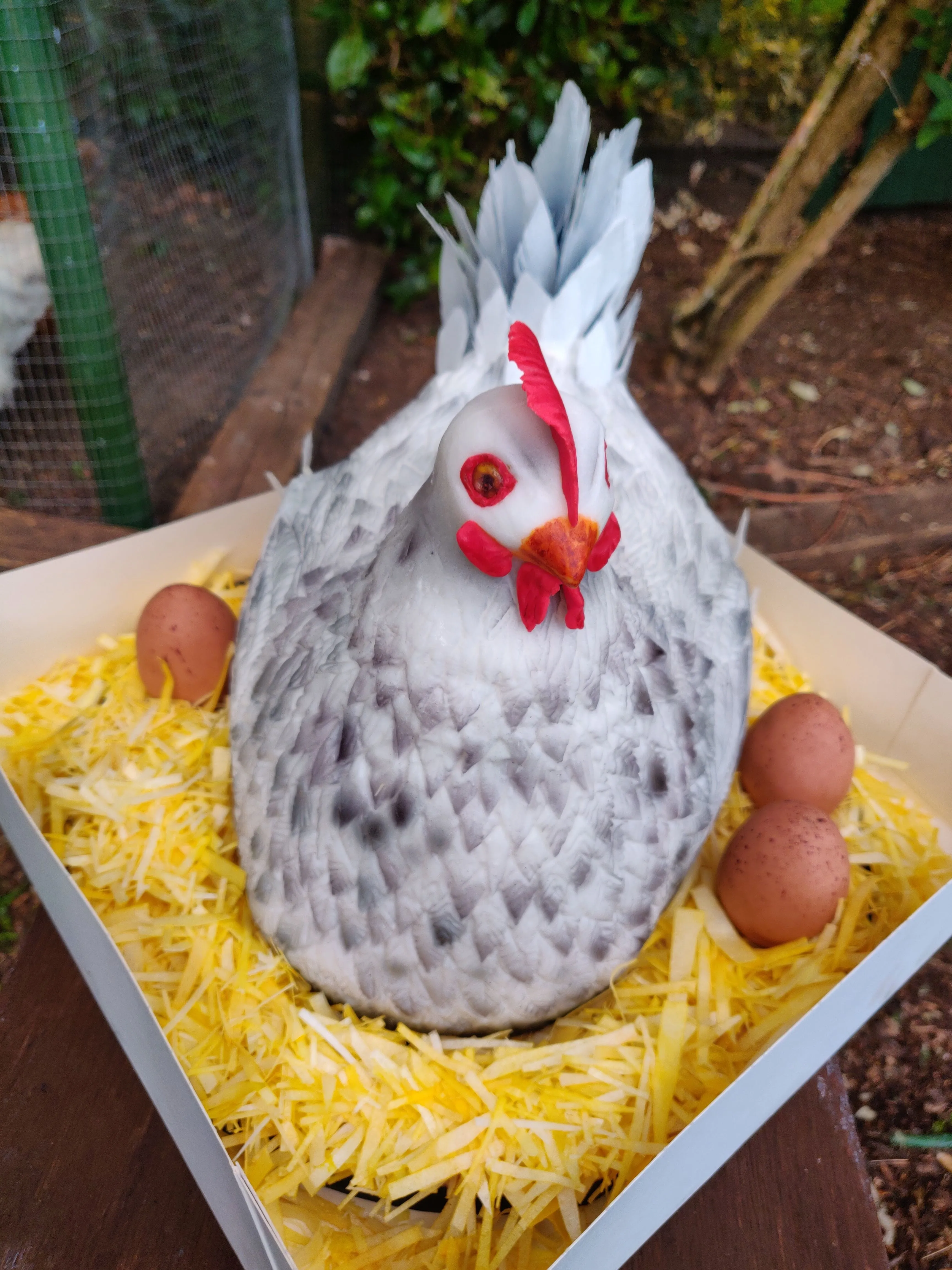 Sculpted white hen cake from the front with real chickens in the background